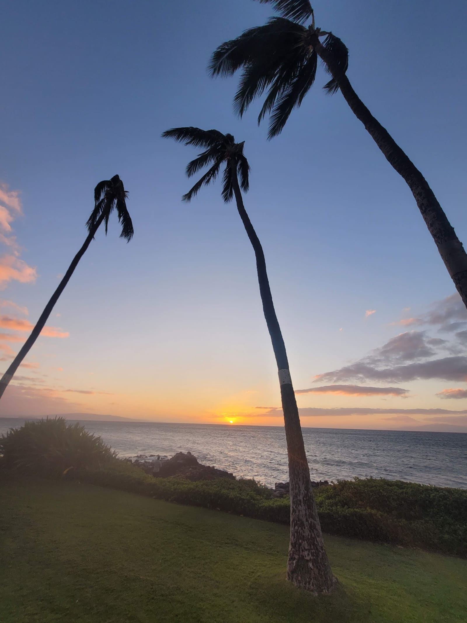 20231214 174343 — Maui beach scene