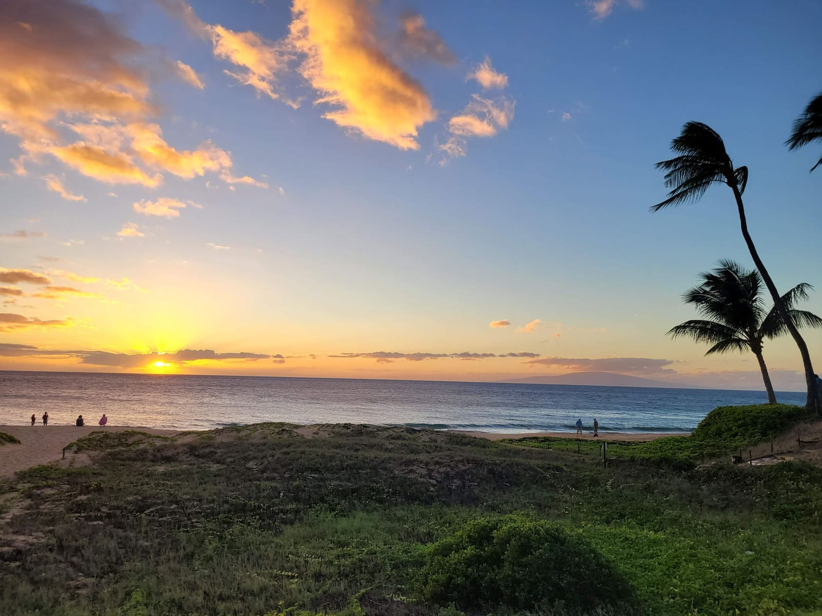 20231215 174139 — Maui beach scene