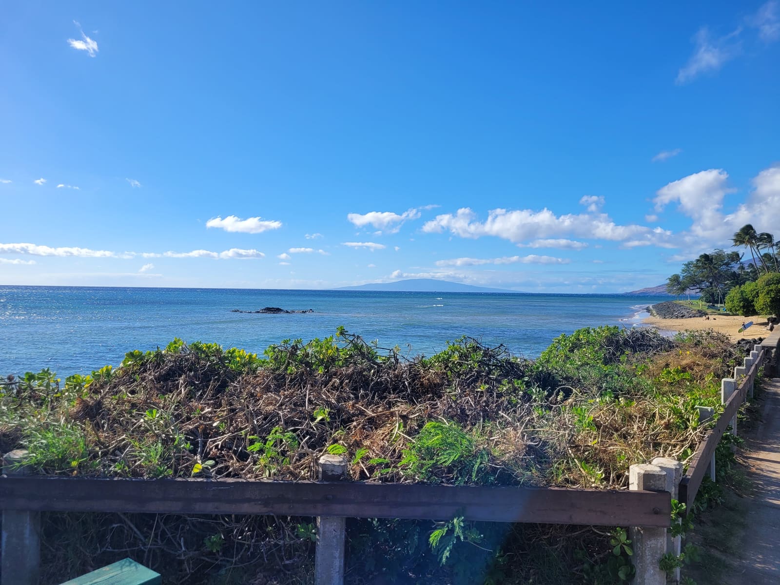 20231216 144750 — Maui beach scene