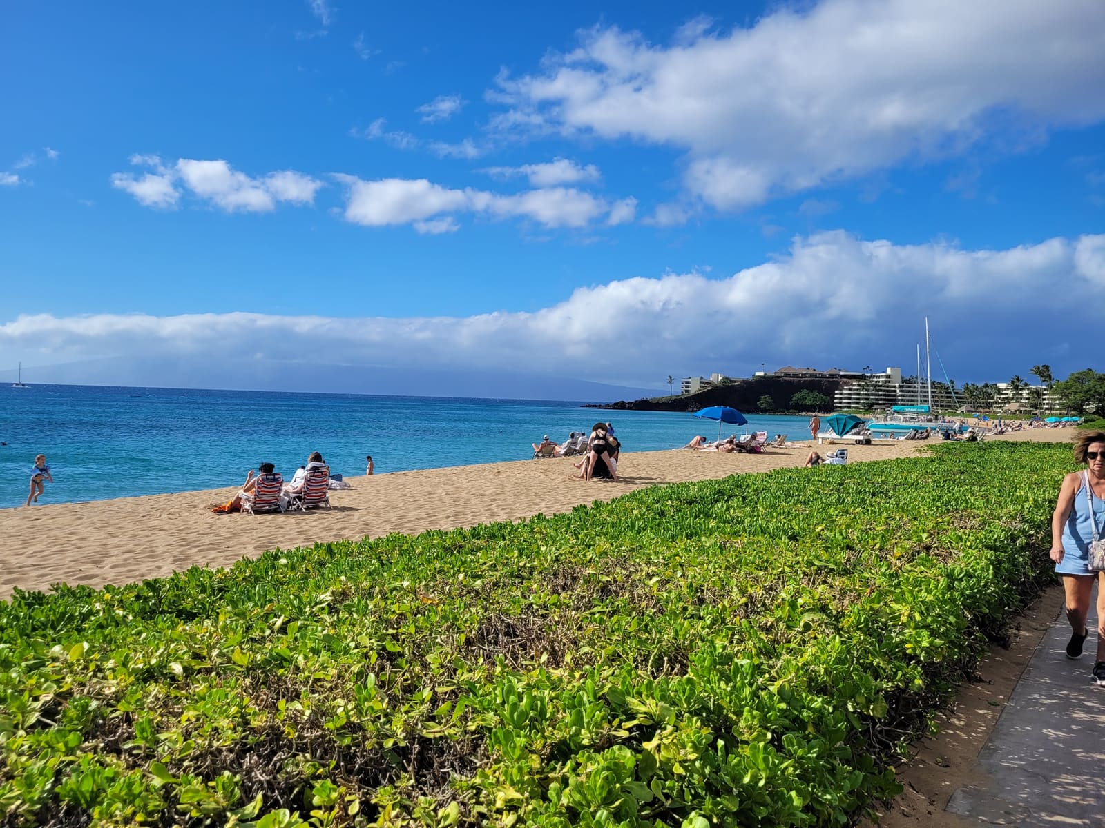 20240330 160205 — Maui beach scene